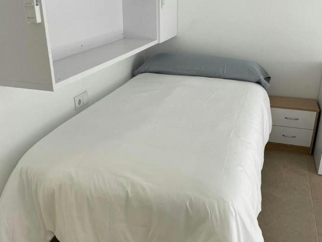 Alquiler 1 Dormitorio Shared Living/Roommate Valencia Valencia DLS102367436