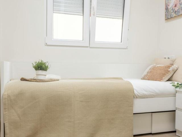 Alquiler 1 Dormitorio Shared Living/Roommate Valencia Valencia DLS102850188