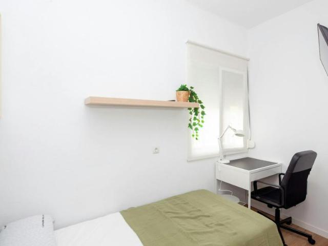 Alquiler 1 Dormitorio Shared Living/Roommate Valencia Valencia DLS102850837