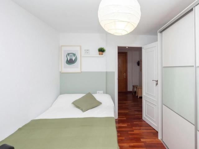Alquiler 1 Dormitorio Shared Living/Roommate Valencia Valencia DLS102852943