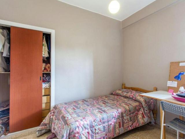 Alquiler 1 Dormitorio Shared Living/Roommate Valencia Valencia DLS102856571