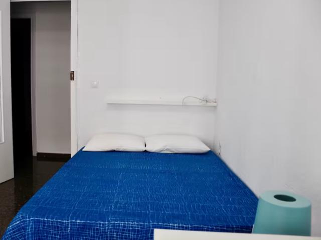 Alquiler 1 Dormitorio Shared Living/Roommate Valencia Valencia DLS95924708