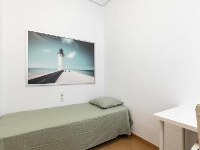 Alquiler 1 Dormitorio Shared Living/Roommate Valencia Valencia DLS99011575