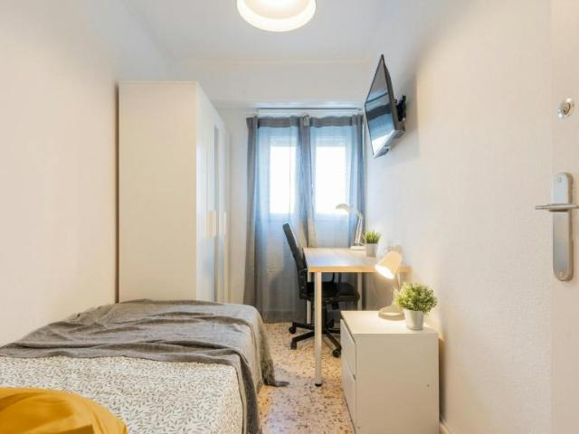 Alquiler 1 Dormitorio Shared Living/Roommate Valencia Valencia DLS99687406