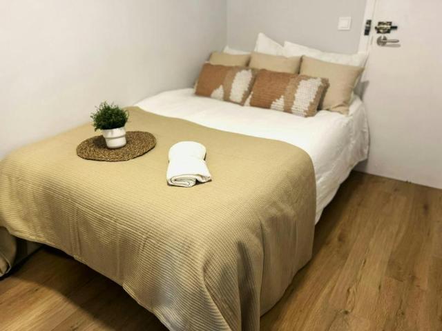 Alquiler 1 Dormitorio Shared Living/Roommate Valencia Valencia DS104324654