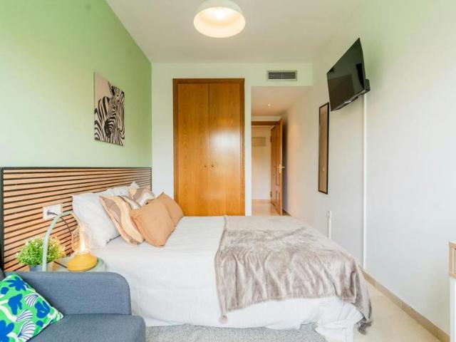 Alquiler 1 Dormitorio Shared Living/Roommate Valencia Valencia DS104682389