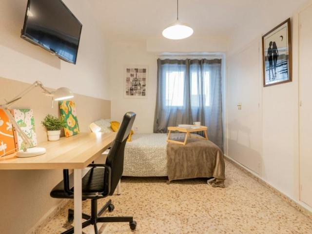 Alquiler 1 Dormitorio Shared Living/Roommate Valencia Valencia DS104783824