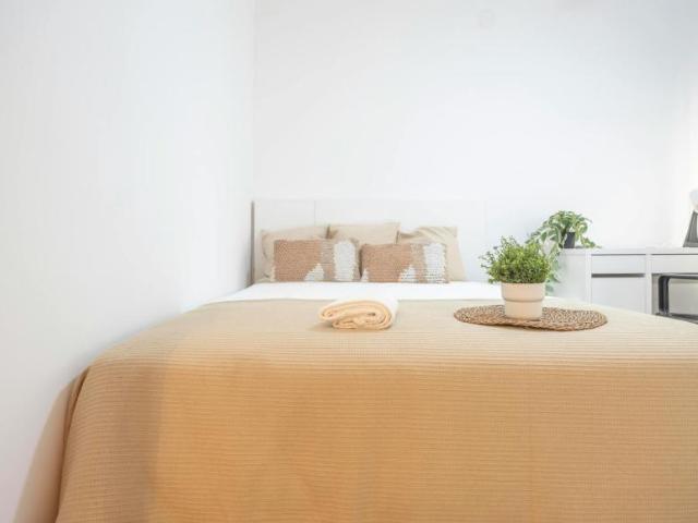 Alquiler 1 Dormitorio Shared Living/Roommate Valencia Valencia DS100715822