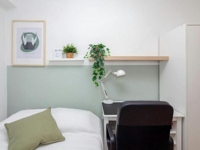 Alquiler 1 Dormitorio Shared Living/Roommate Valencia Valencia DS100716816