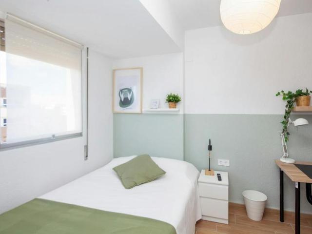Alquiler 1 Dormitorio Shared Living/Roommate Valencia Valencia DS100716813