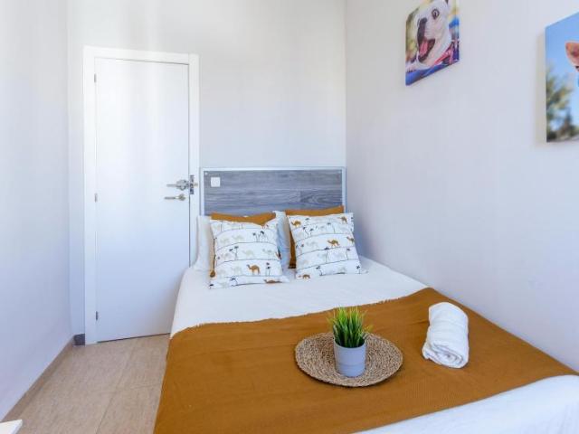 Alquiler 1 Dormitorio Shared Living/Roommate Valencia Valencia DS100731306