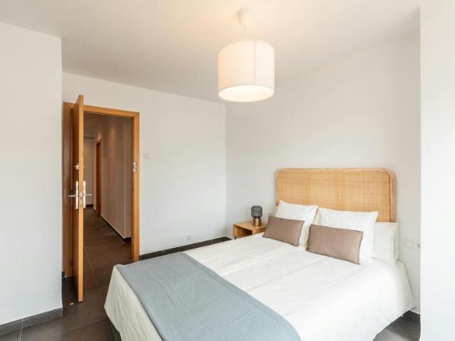 Alquiler 1 Dormitorio Shared Living/Roommate Valencia Valencia DS101269997