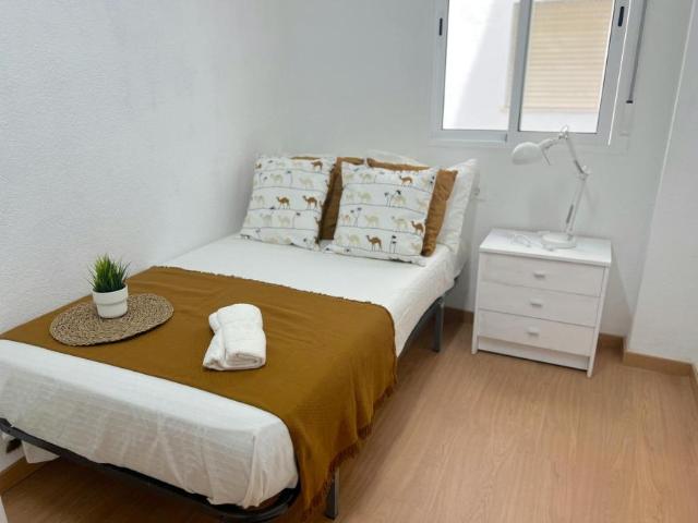 Alquiler 1 Dormitorio Shared Living/Roommate Valencia Valencia DS101511381