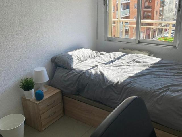 Alquiler 1 Dormitorio Shared Living/Roommate Valencia Valencia DS101791515