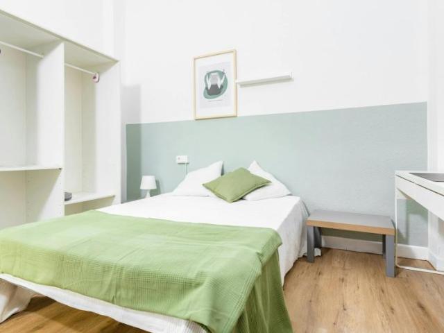 Alquiler 1 Dormitorio Shared Living/Roommate Valencia Valencia DS101845986