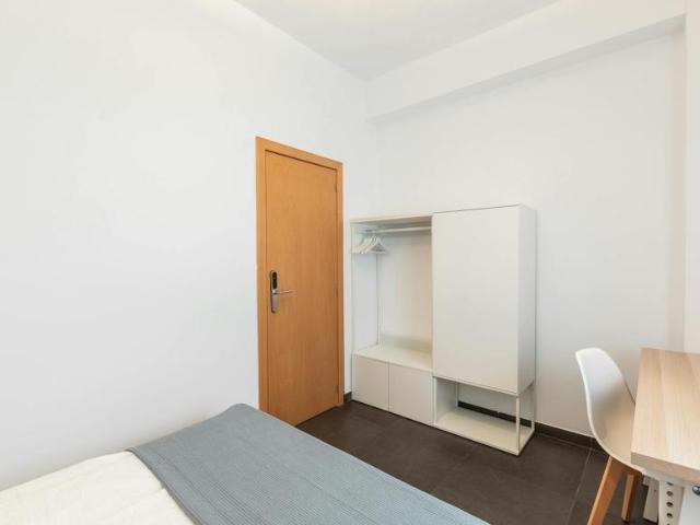 Alquiler 1 Dormitorio Shared Living/Roommate Valencia Valencia DS101843808