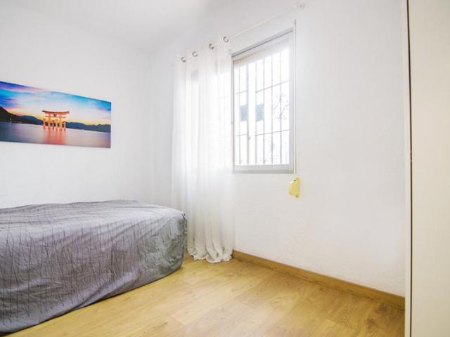 Alquiler 1 Dormitorio Shared Living/Roommate Valencia Valencia DS102437055