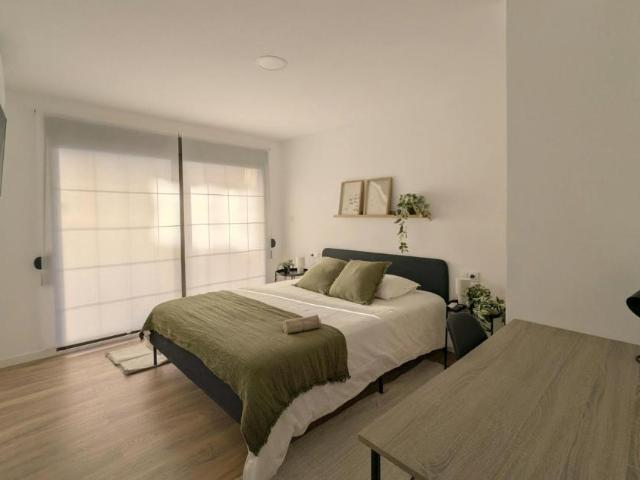 Alquiler 1 Dormitorio Shared Living/Roommate Valencia Valencia DS102630010