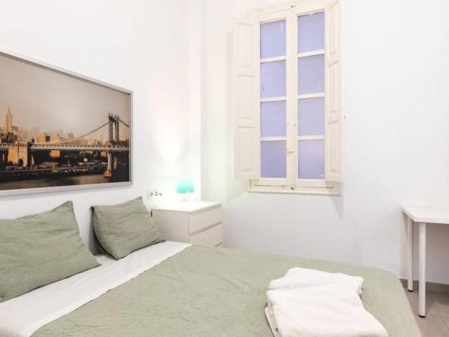 Alquiler 1 Dormitorio Shared Living/Roommate Valencia Valencia DS102631046