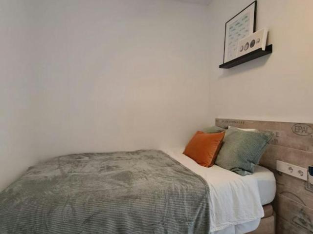 Alquiler 1 Dormitorio Shared Living/Roommate Valencia Valencia DS102814191
