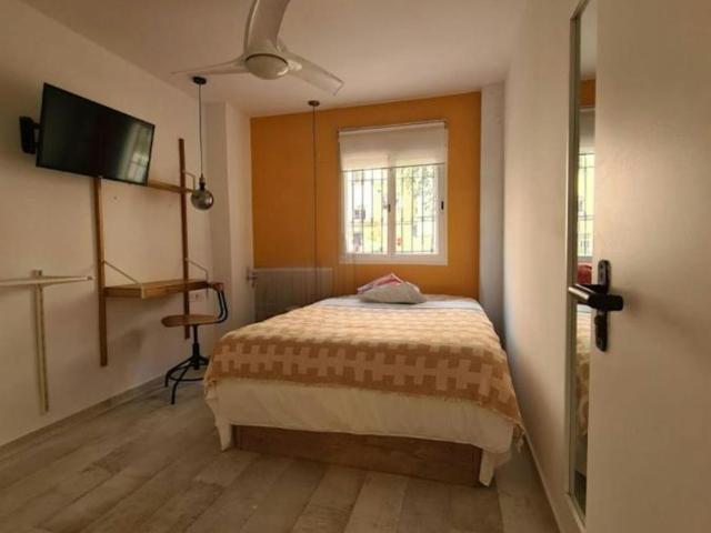 Alquiler 1 Dormitorio Shared Living/Roommate Valencia Valencia DS102814192
