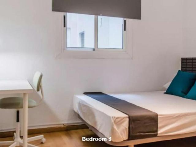 Alquiler 1 Dormitorio Shared Living/Roommate Valencia Valencia DS102816724