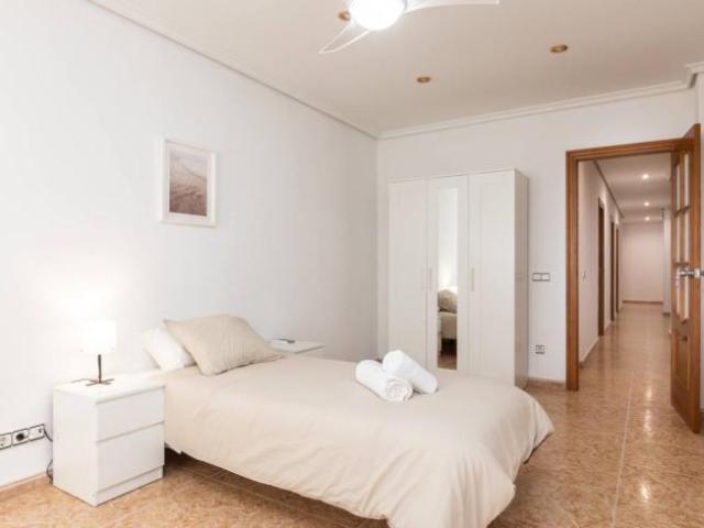 Alquiler 1 Dormitorio Shared Living/Roommate Valencia Valencia DS103414475