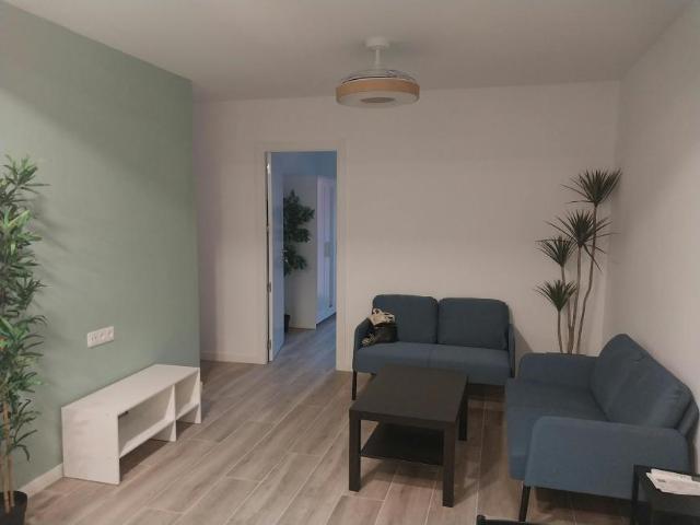 Alquiler 1 Dormitorio Shared Living/Roommate Valencia Valencia DS103425829