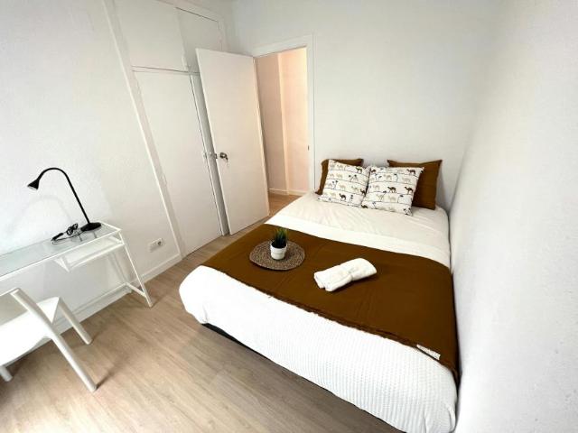 Alquiler 1 Dormitorio Shared Living/Roommate Valencia Valencia DS103488433