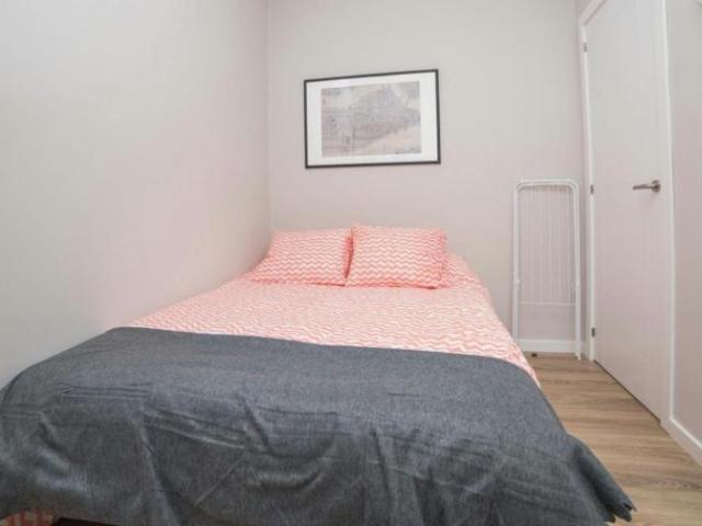 Alquiler 1 Dormitorio Shared Living/Roommate Valencia Valencia DS103544581