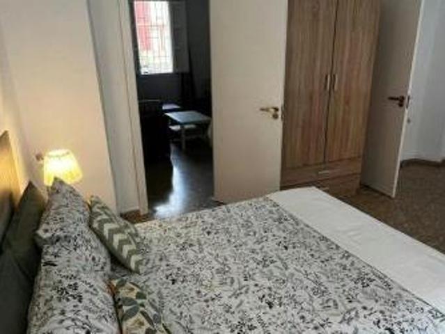 Alquiler 1 Dormitorio Shared Living/Roommate Valencia Valencia DS75299772