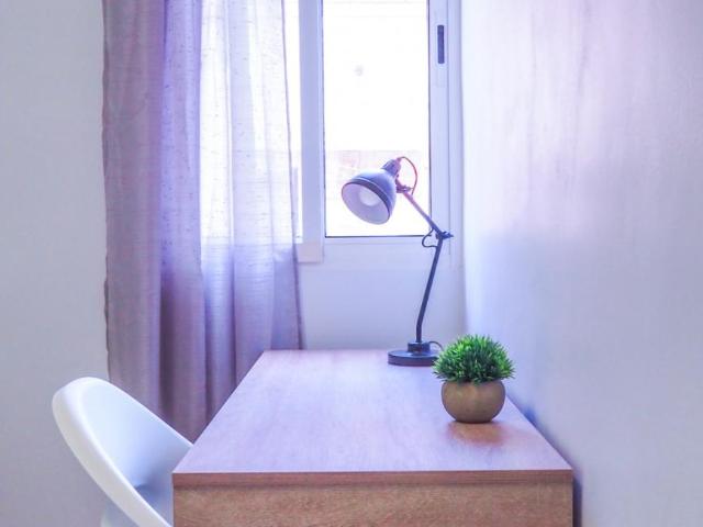 Alquiler 1 Dormitorio Shared Living/Roommate Valencia Valencia DS77943904