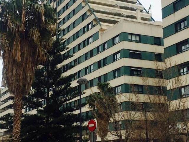 Alquiler 1 Dormitorio Shared Living/Roommate Valencia Valencia DS88751903