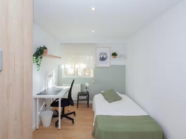 Alquiler 1 Dormitorio Shared Living/Roommate Valencia Valencia DS95916920
