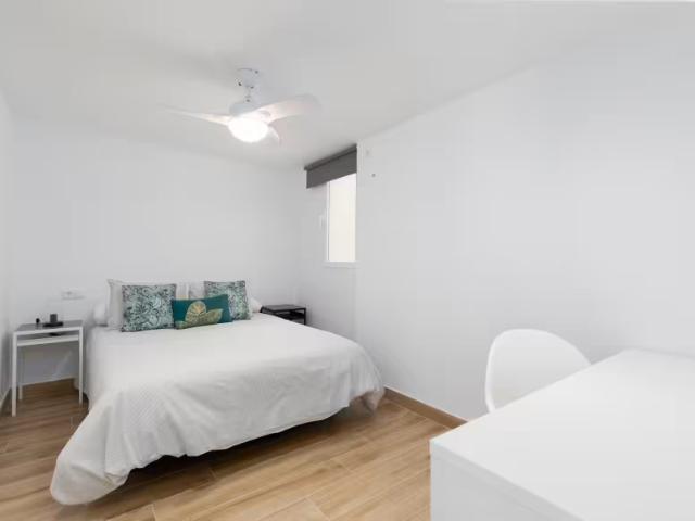 Alquiler 1 Dormitorio Shared Living/Roommate Valencia Valencia DS95949718