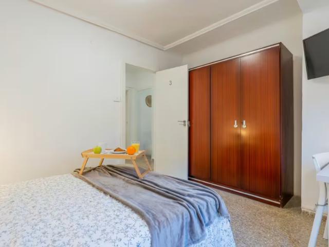 Alquiler 1 Dormitorio Shared Living/Roommate Valencia Valencia DS97634951