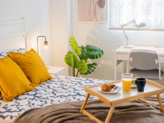Alquiler 1 Dormitorio Shared Living/Roommate Valencia Valencia DS98571872