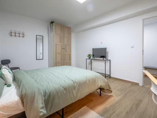 Alquiler 1 Dormitorio Shared Living/Roommate Valencia Valencia DS98333865