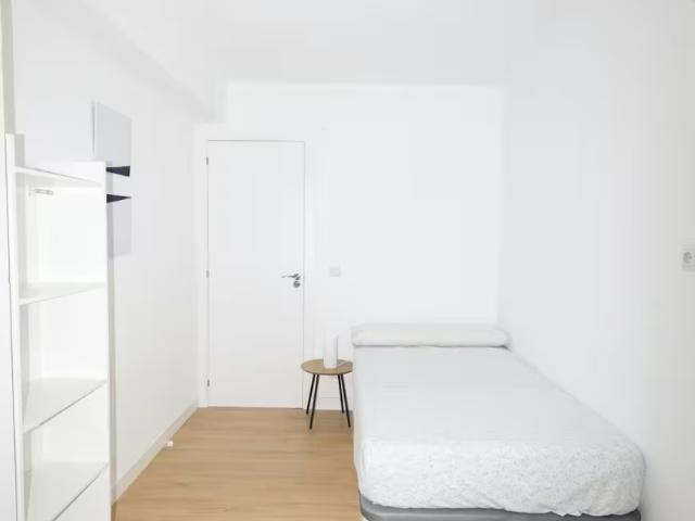 Alquiler 1 Dormitorio Shared Living/Roommate Valencia Valencia DS98333874