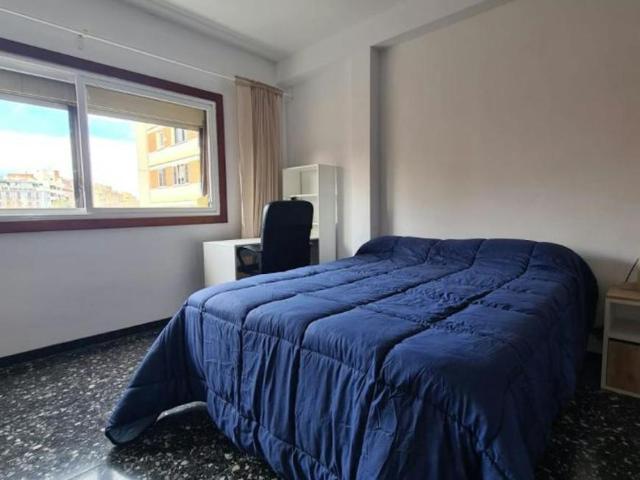 Alquiler 1 Dormitorio Shared Living/Roommate Valencia Valencia DS99634960