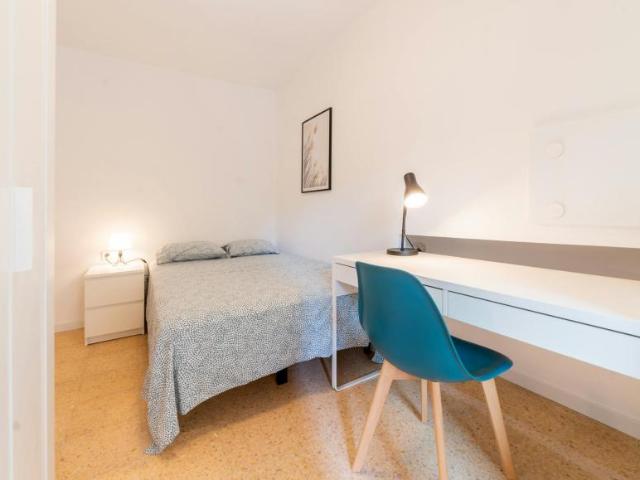 Alquiler 1 Dormitorio Shared Living/Roommate Valencia Valencia DS99685971