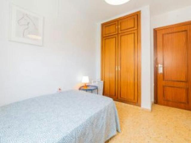 Alquiler 1 Dormitorio Shared Living/Roommate Valencia Valencia DS99689514