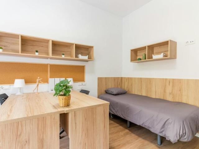 Alquiler 1 Dormitorio Shared Living/Roommate Valencia Valencia DS99690987