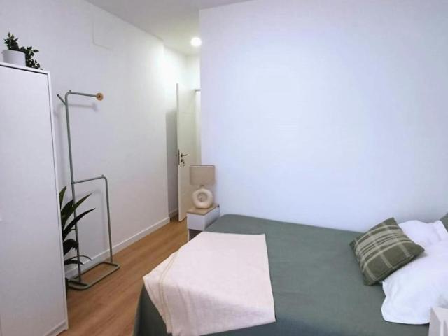 Alquiler 1 Dormitorio Shared Living/Roommate Valencia Valencia DS99307669