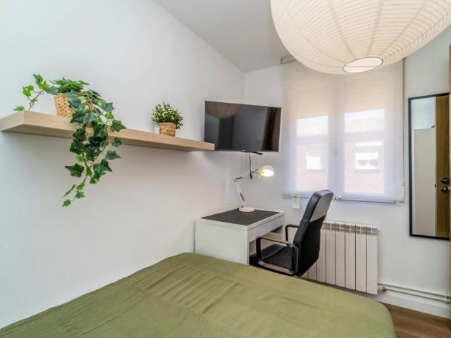 Alquiler 1 Dormitorio Shared Living/Roommate Valladolid Valladolid DLS100716688