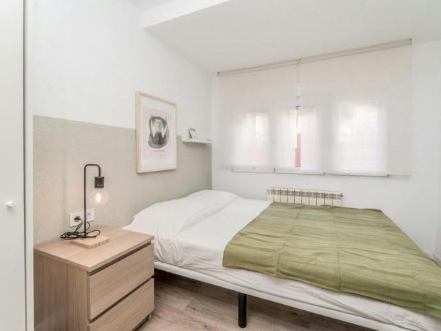 Alquiler 1 Dormitorio Shared Living/Roommate Valladolid Valladolid DLS100718389