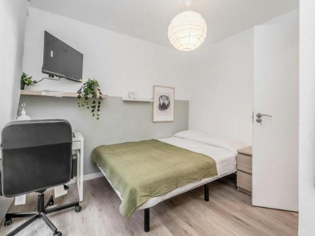 Alquiler 1 Dormitorio Shared Living/Roommate Valladolid Valladolid DLS100718394