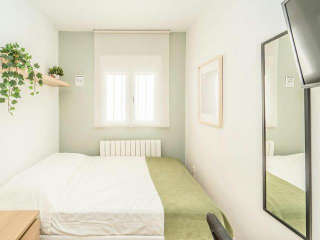Alquiler 1 Dormitorio Shared Living/Roommate Valladolid Valladolid DLS100765254