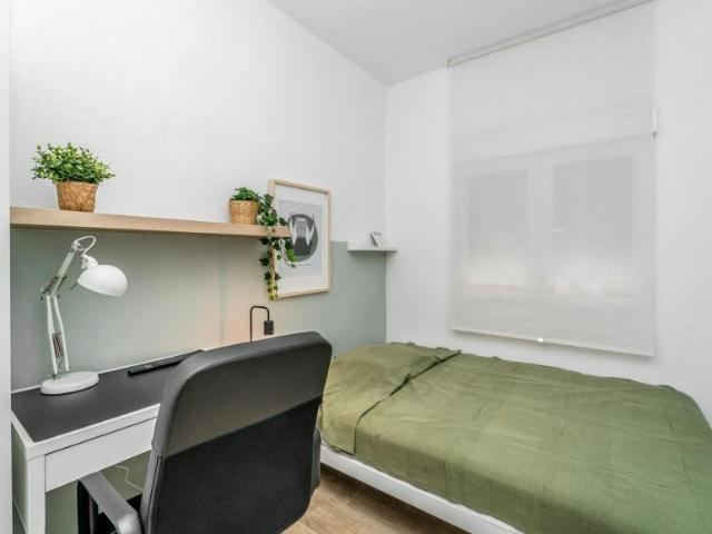 Alquiler 1 Dormitorio Shared Living/Roommate Valladolid Valladolid DLS101840502