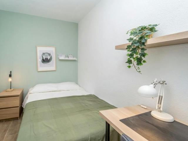 Alquiler 1 Dormitorio Shared Living/Roommate Valladolid Valladolid DLS101842428